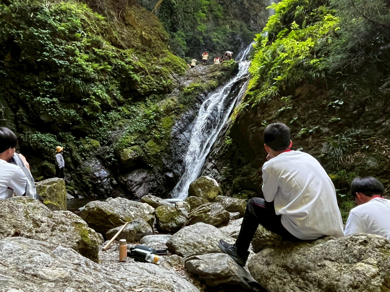 LINE_ALBUM_5.13_ジンリョウユリ保護活動_250524_4