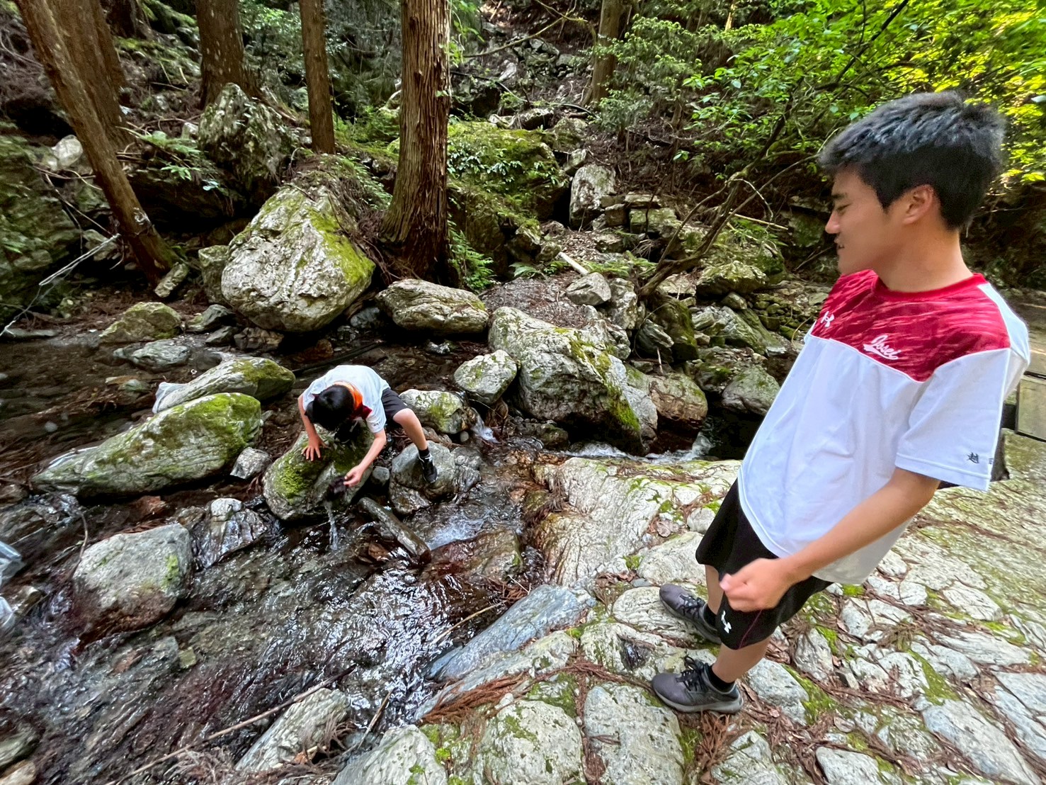 LINE_ALBUM_5.13_ジンリョウユリ保護活動_250524_16