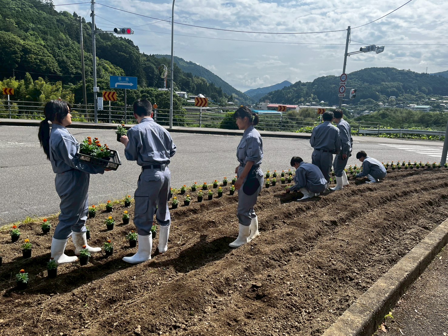 LINE_ALBUM_5.27_11HR神領花壇植え替え_250616_2