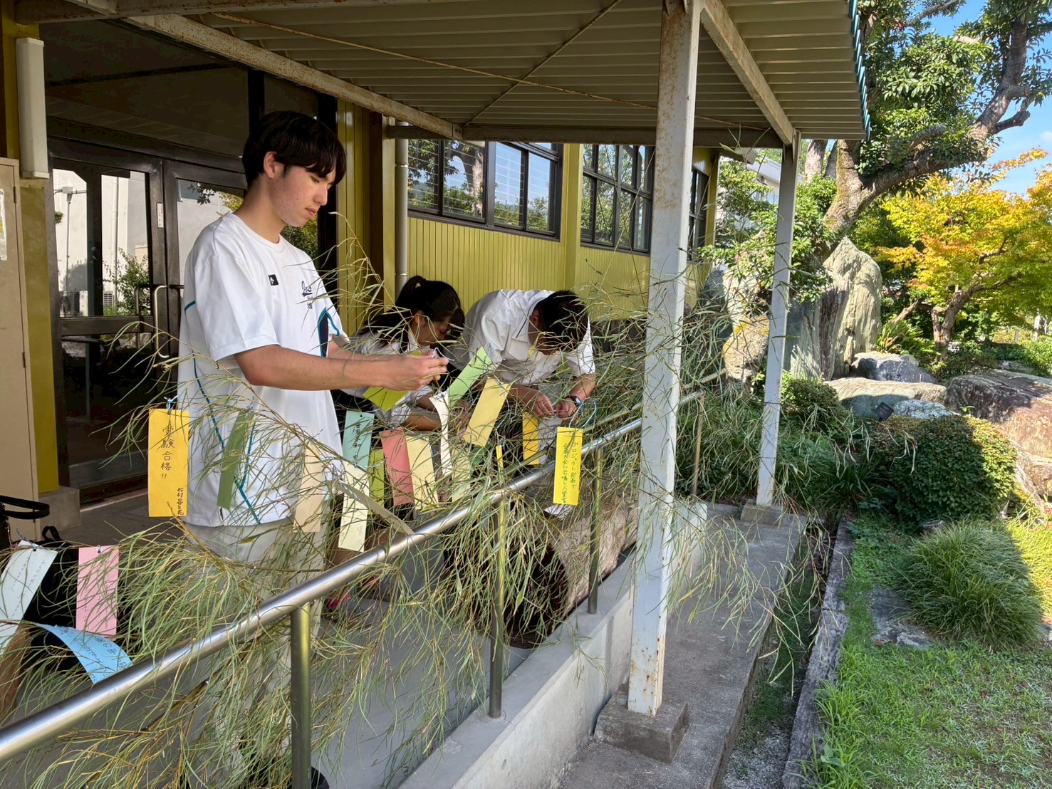 LINE_ALBUM_6.27 七夕飾り_250628_2