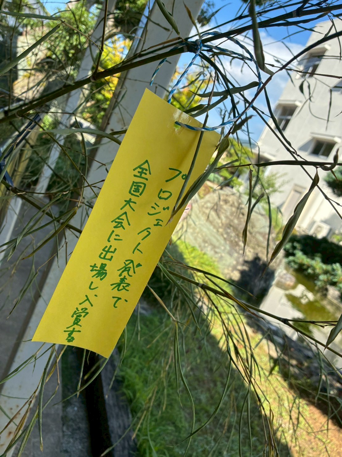 LINE_ALBUM_6.27 七夕飾り_250628_4