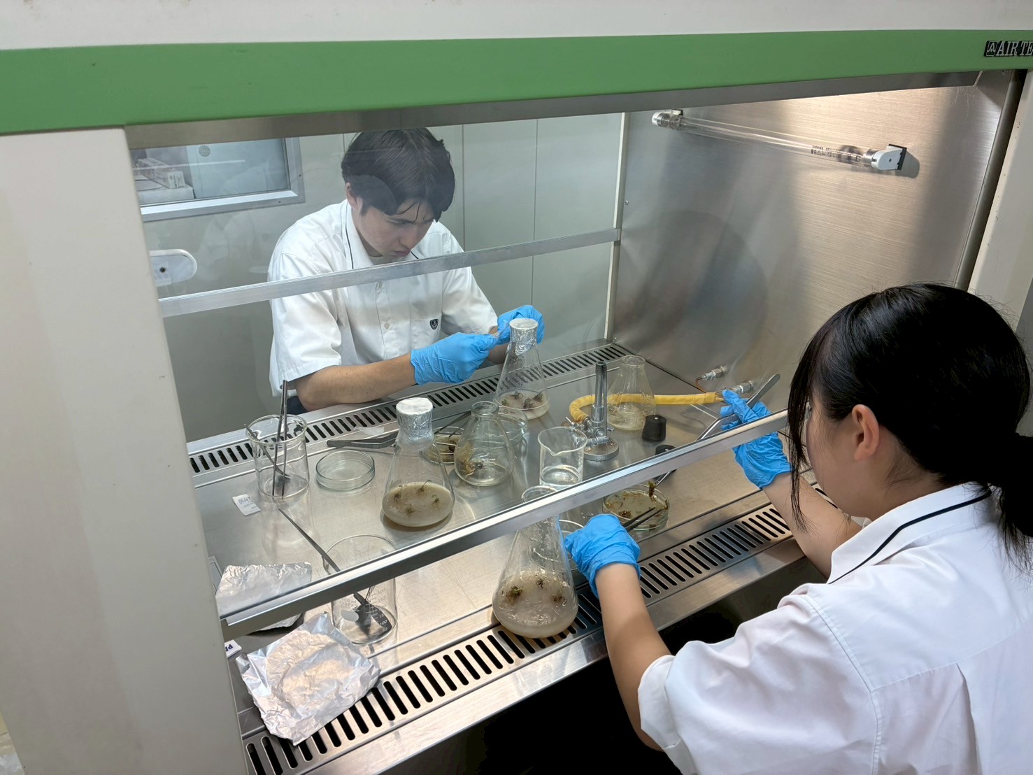 LINE_ALBUM_6.24 ジンリョウユリ株分け　31hr_250628_2