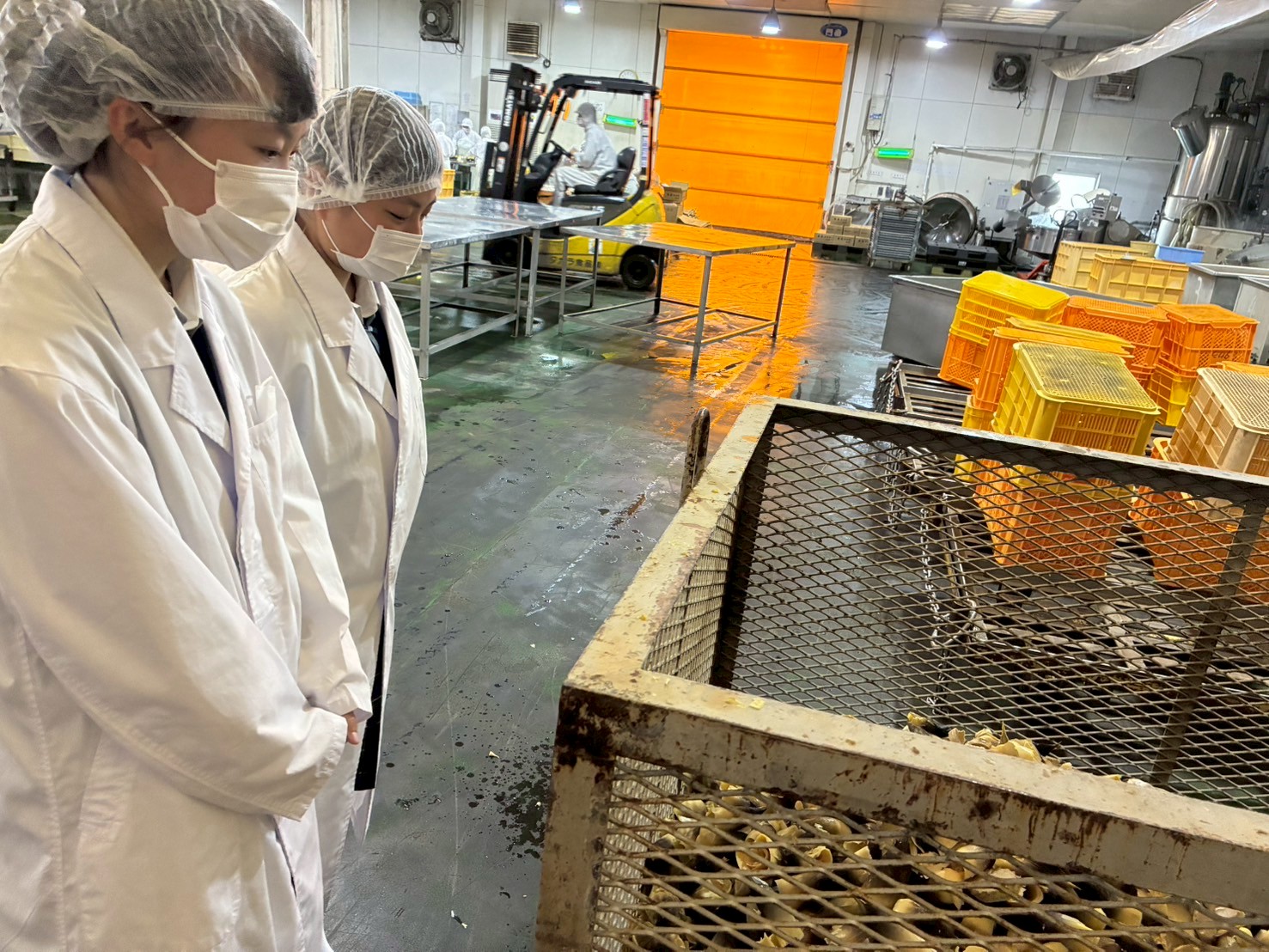 LINE_ALBUM_5.28 課研　タカラ食品_250603_3