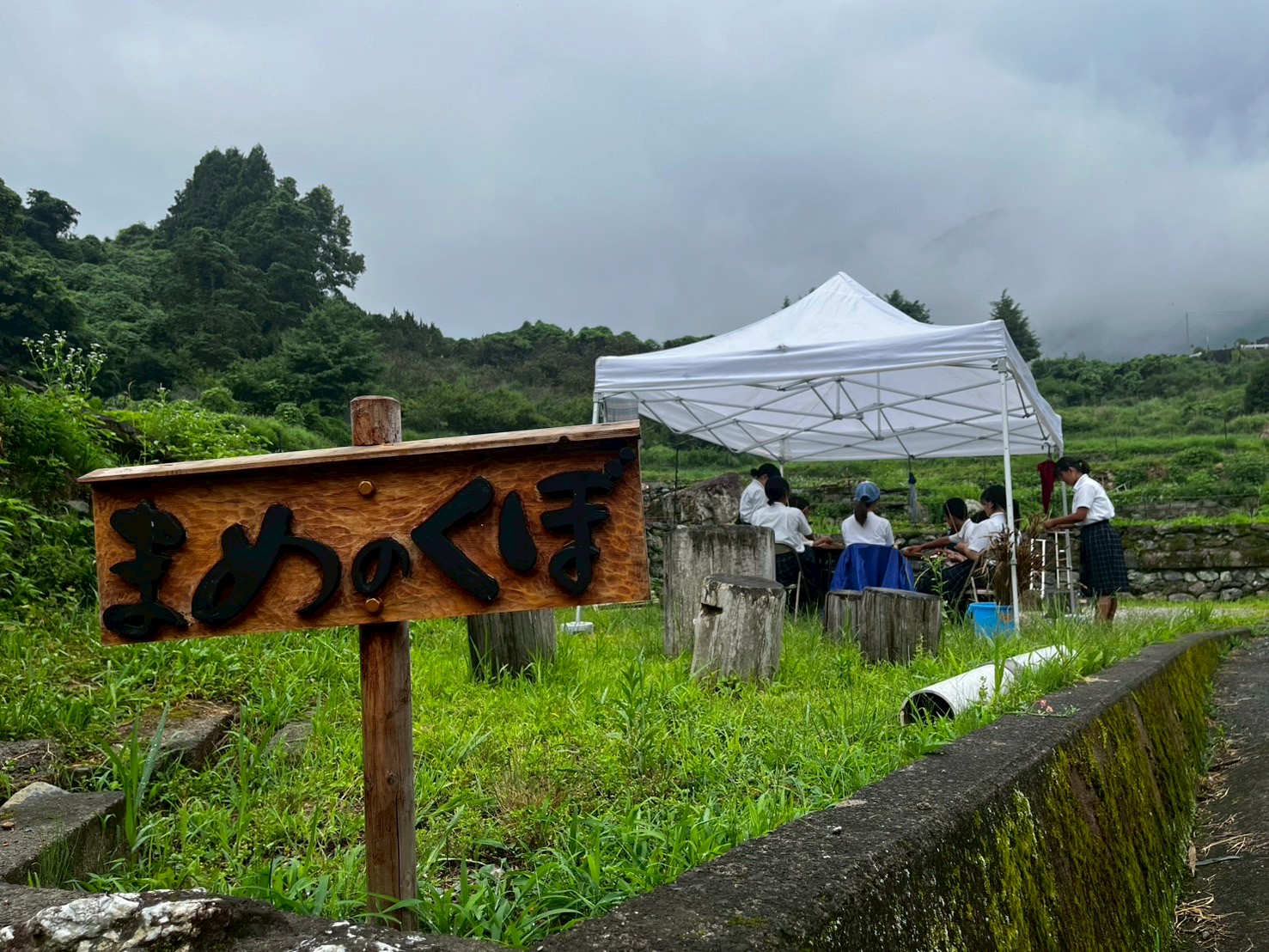 LINE_ALBUM_まめのくぼ集い_250703_3