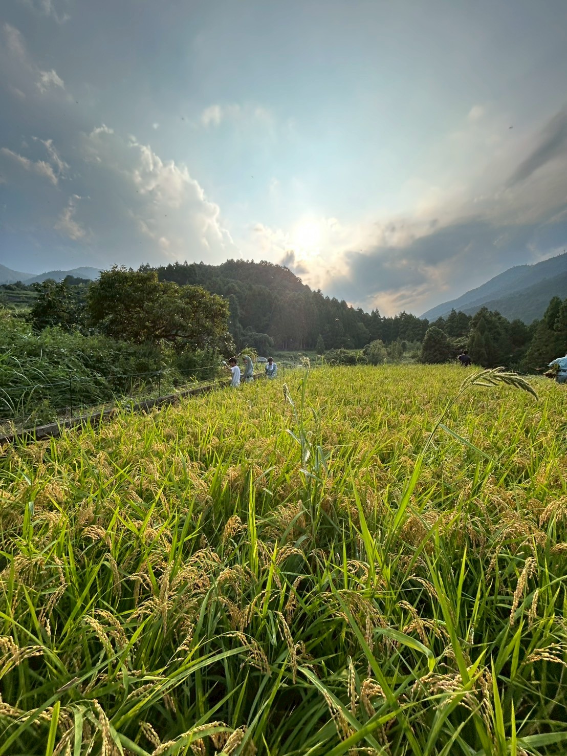 LINE_ALBUM_20250917_251010_4