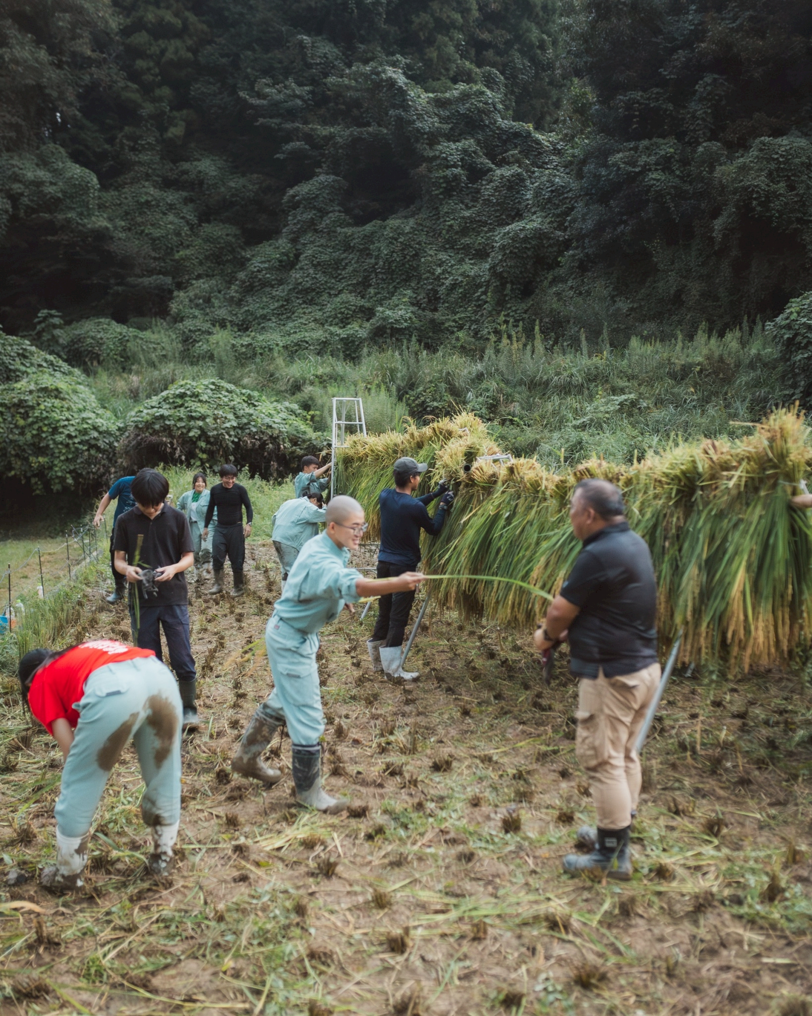 LINE_ALBUM_20250917_251010_3