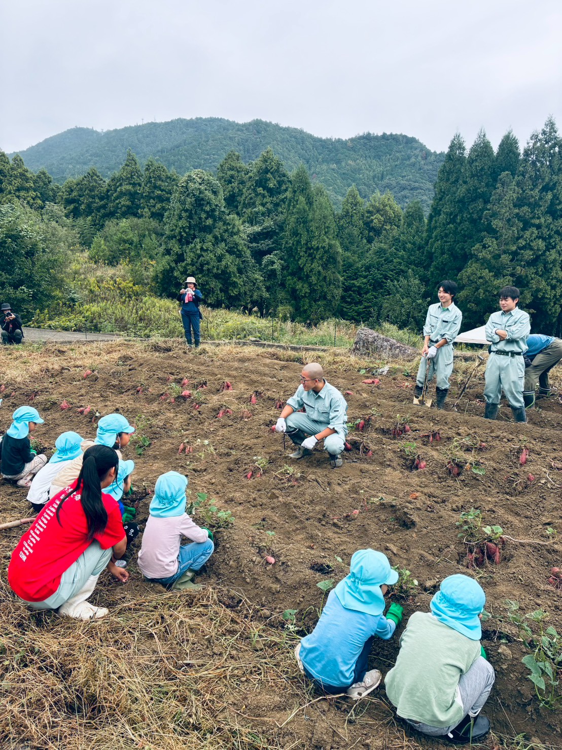 LINE_ALBUM_10.9 まめのくぼサツマイモ収穫下分・広野保育所_251010_5