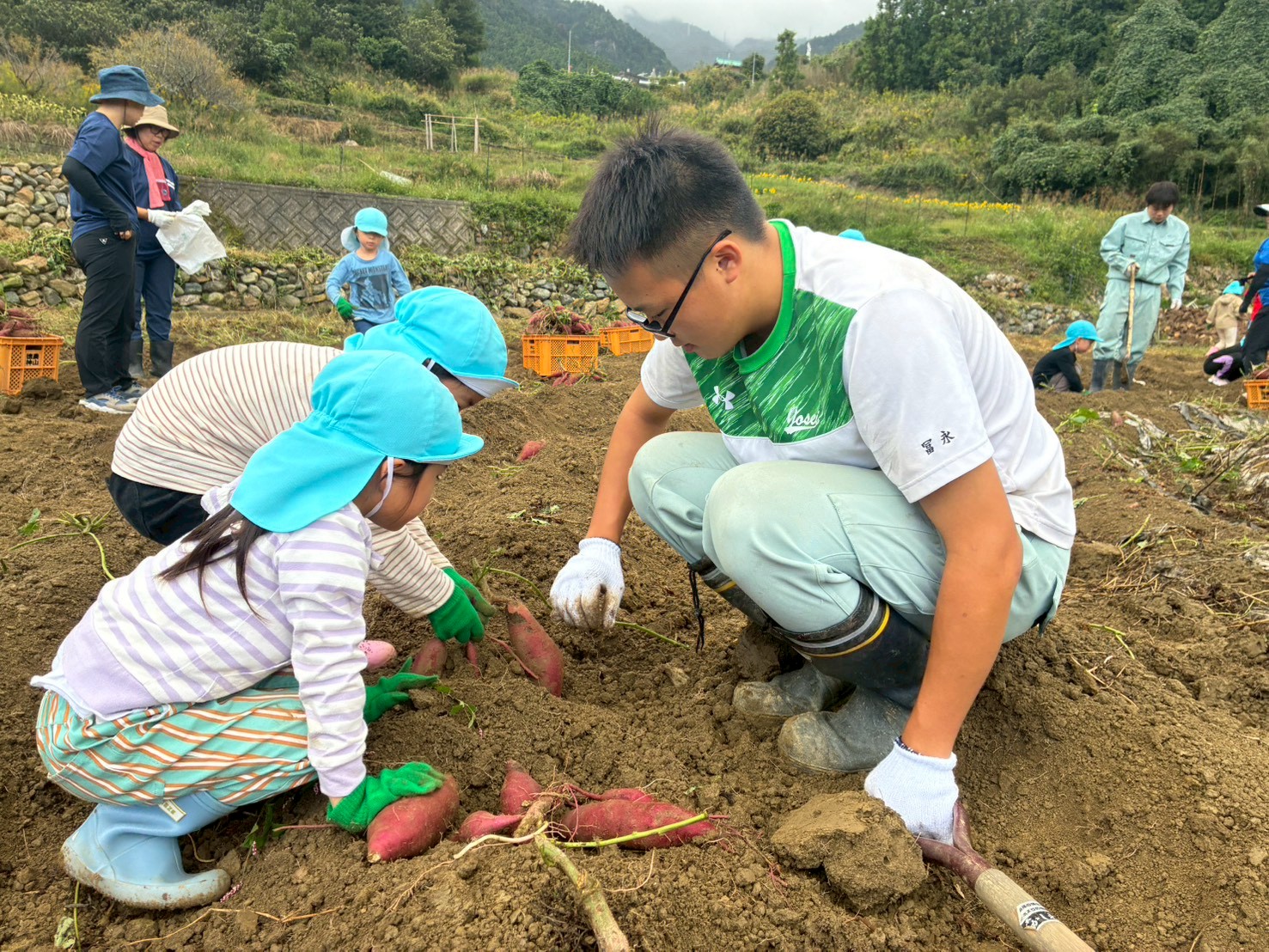 LINE_ALBUM_10.9 まめのくぼサツマイモ収穫下分・広野保育所_251010_12