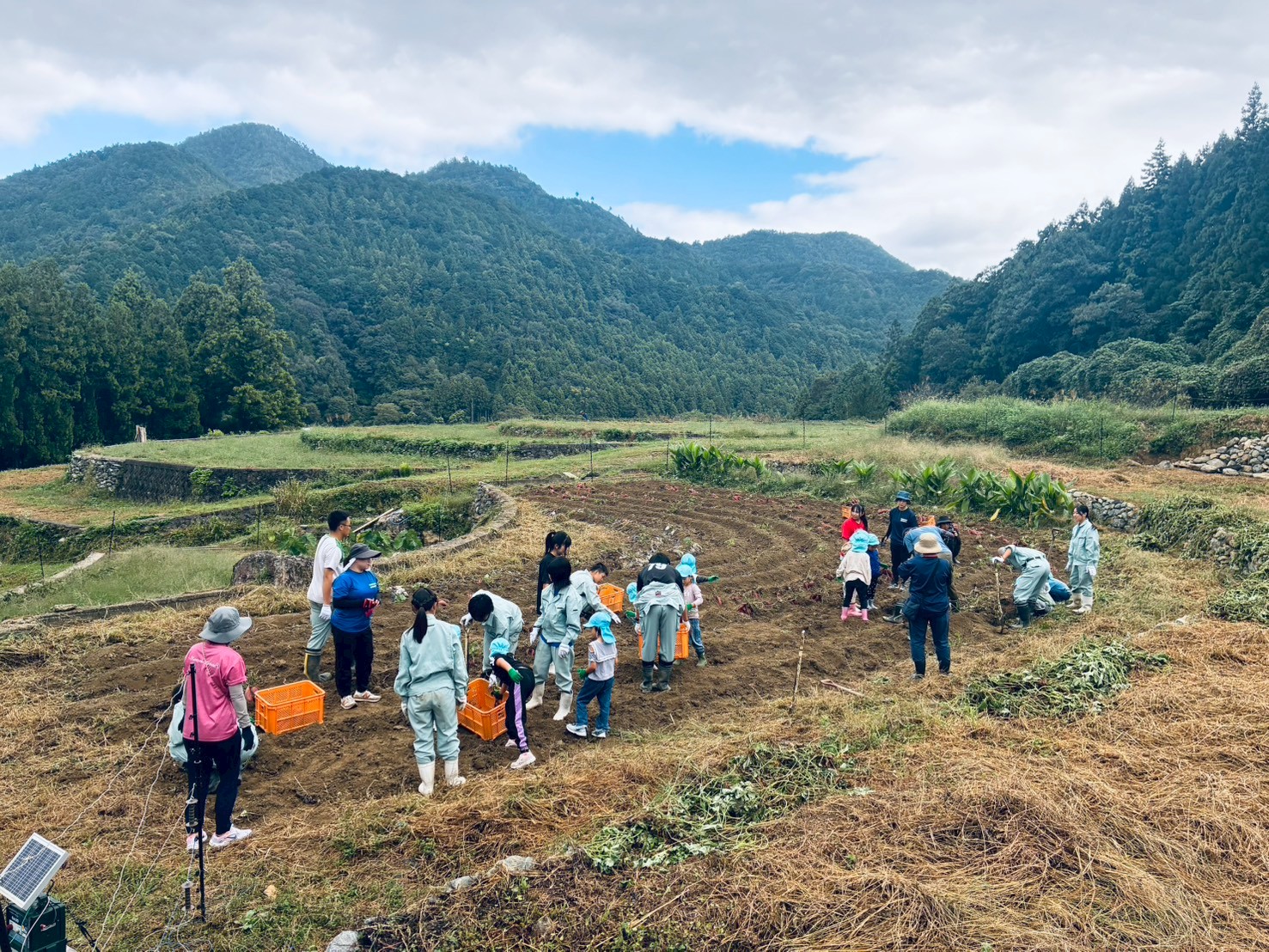 LINE_ALBUM_10.9 まめのくぼサツマイモ収穫下分・広野保育所_251010_10