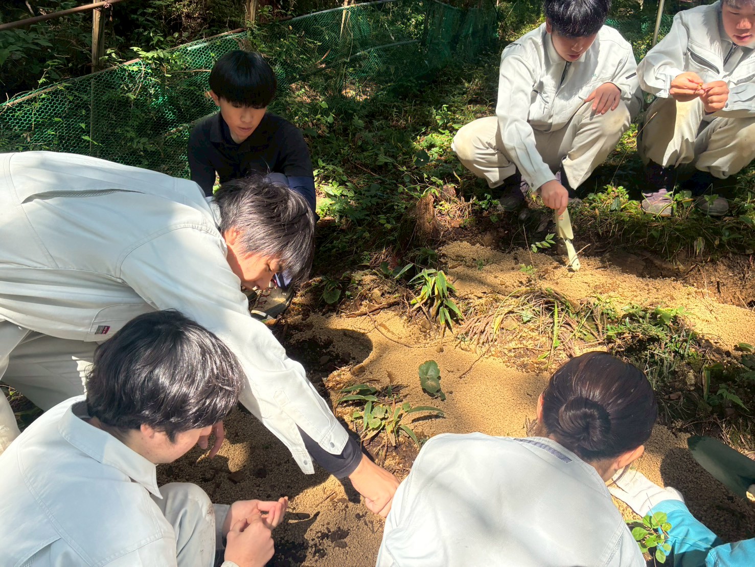 LINE_ALBUM_ジンリョウユリ定植_251120_6