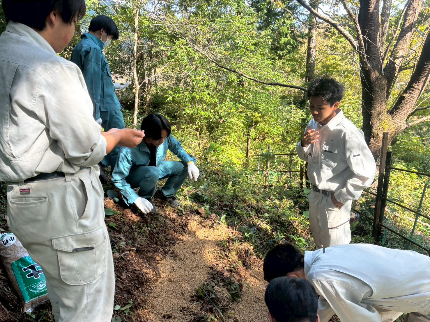 LINE_ALBUM_ジンリョウユリ定植_251120_3