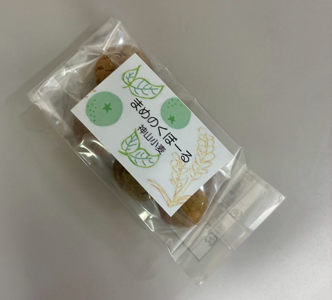 LINE_ALBUM_2025.11.2_251120_28