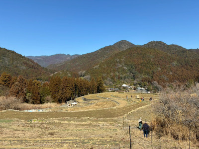 LINE_ALBUM_214まめのく棒祭り_260216_4